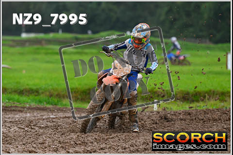 Experts-041