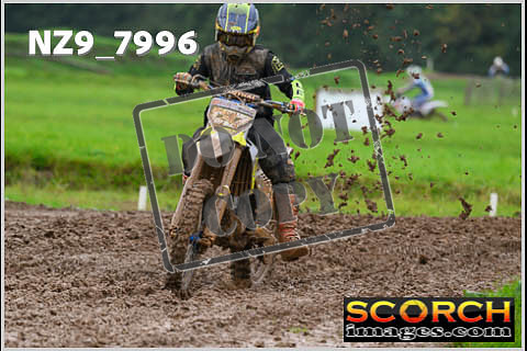 Experts-042