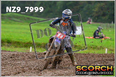 Experts-045