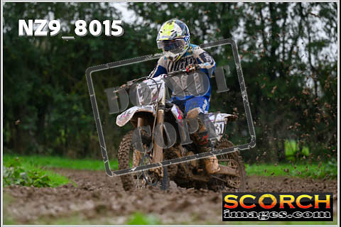 Experts-061