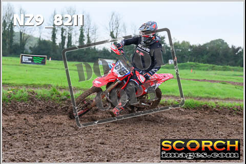 Experts-081