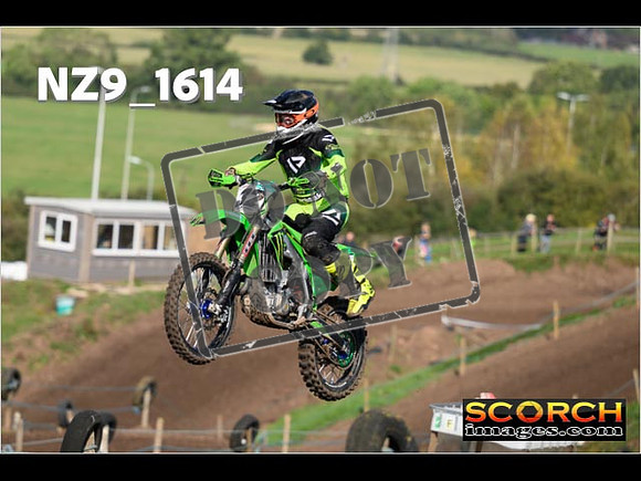 Experts-295