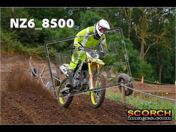 InterGreen-082