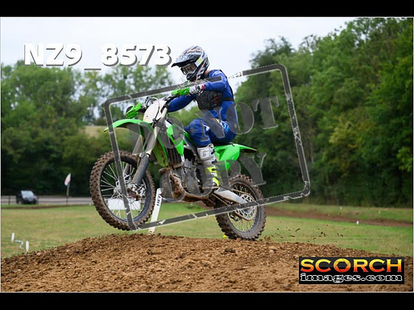 Experts-119