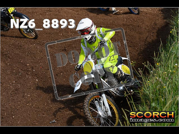 IntersGreen-052