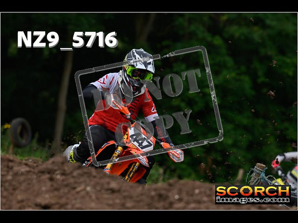 Experts-113