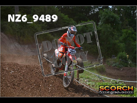 Experts-253