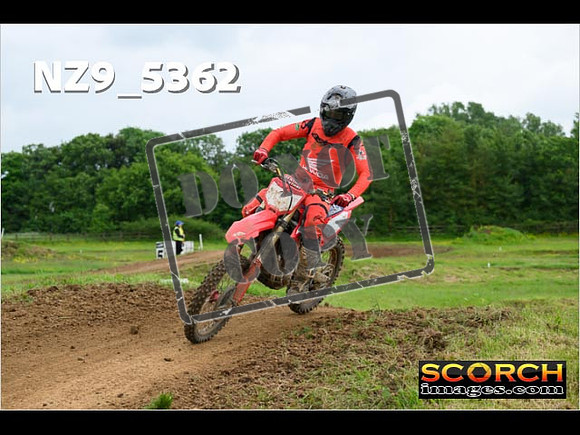 Experts-297