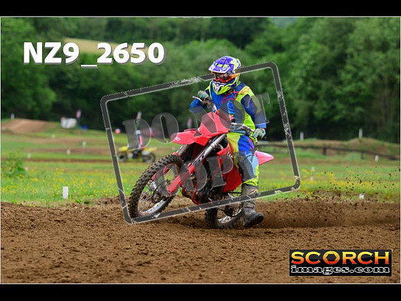Novice-239