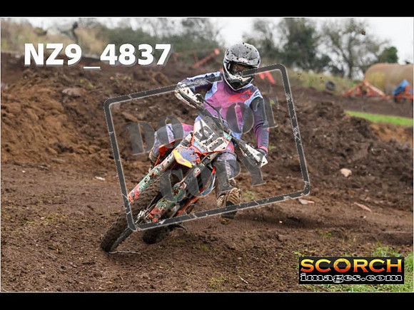 Experts-313