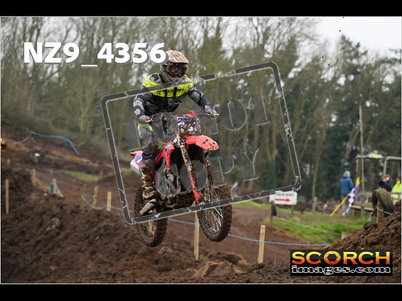 Experts-203