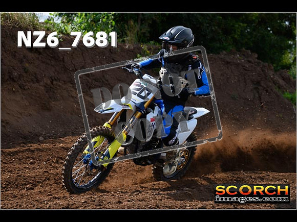 Experts-061
