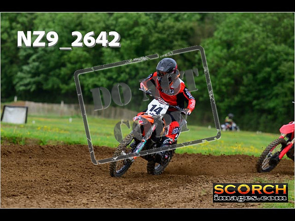 Novice-232