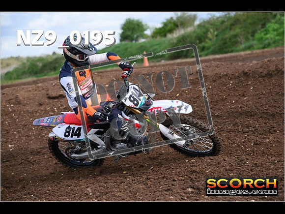 Experts-132