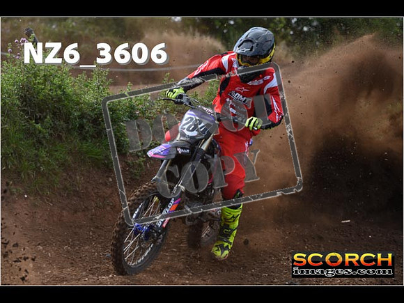 Experts-033