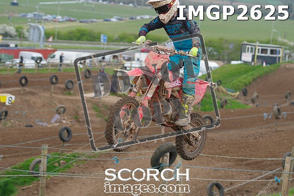 IMGP2625