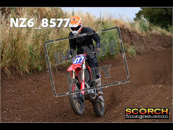 Experts-097