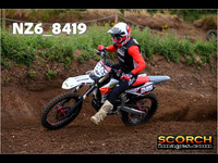 InterGreen-002