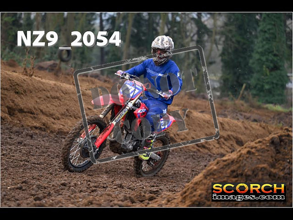 Experts-115