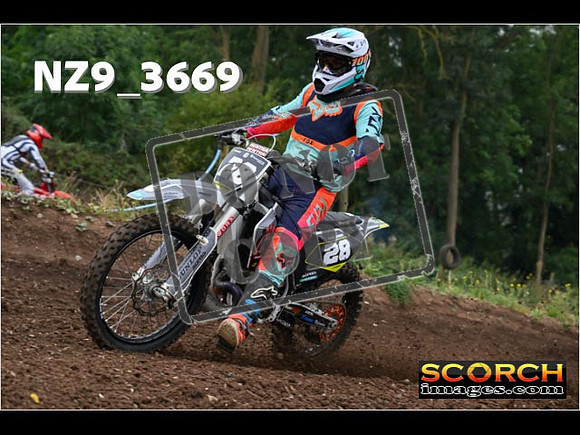 IntersGreenOrange-035