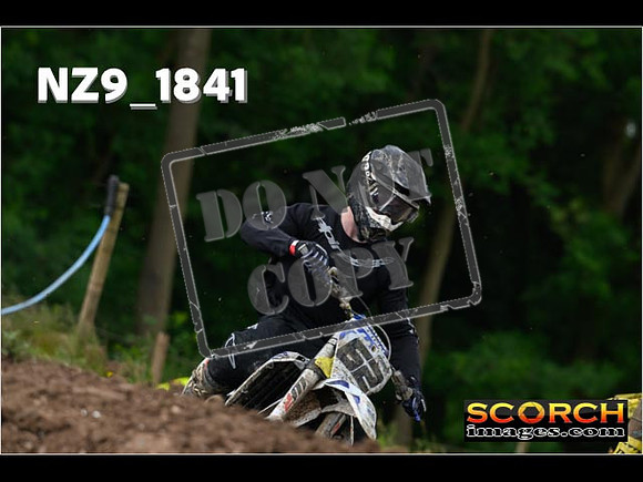 Experts-061