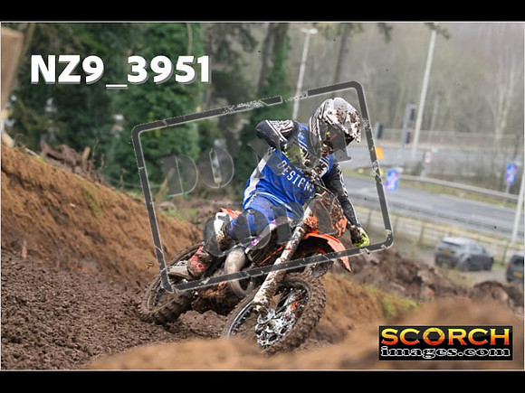 Experts-142