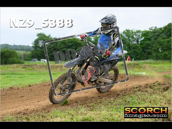 Experts-323