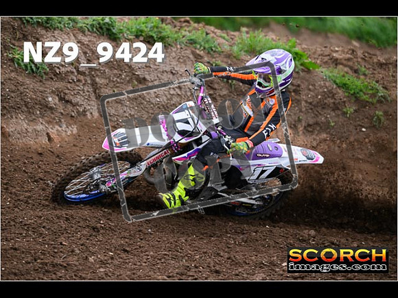 Experts-132