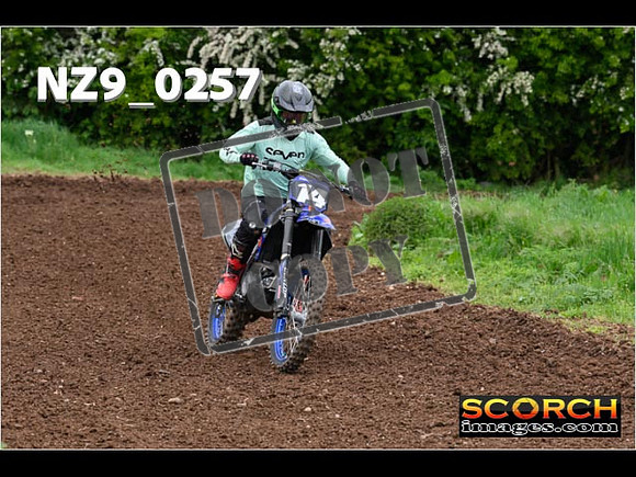 IntersGreen-207