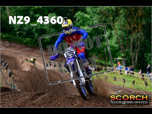 Experts-033