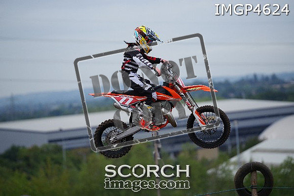 IMGP4624