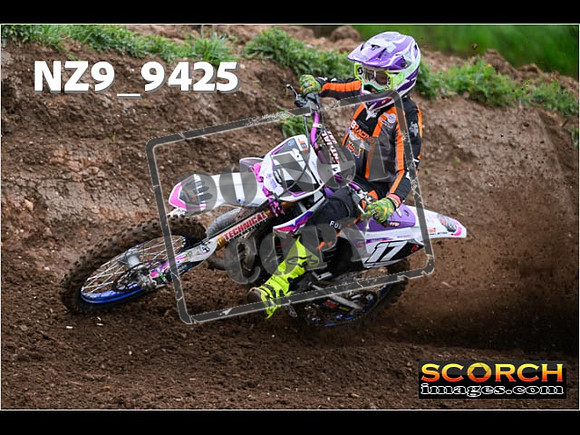 Experts-133