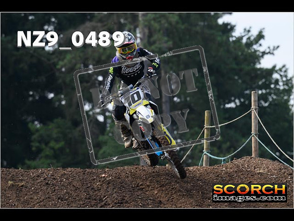 Experts-078