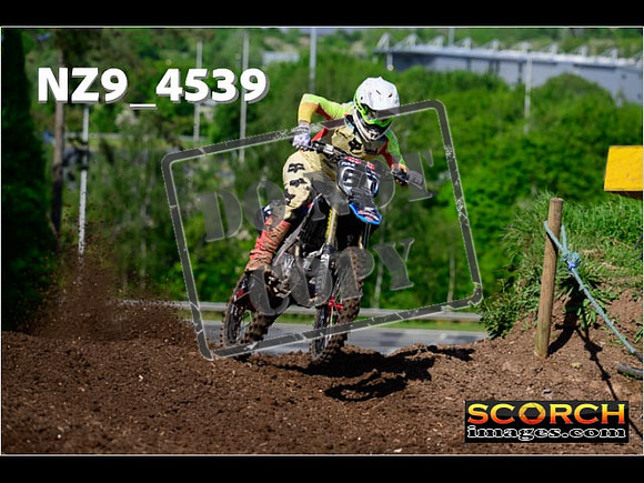 Experts-046
