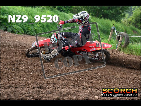 Experts-042