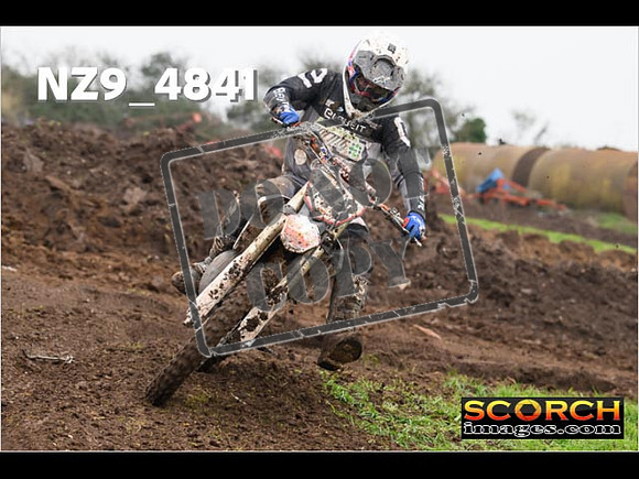 Experts-317