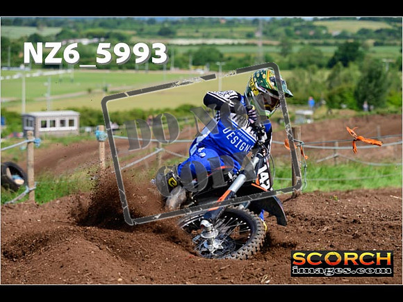 Experts-037