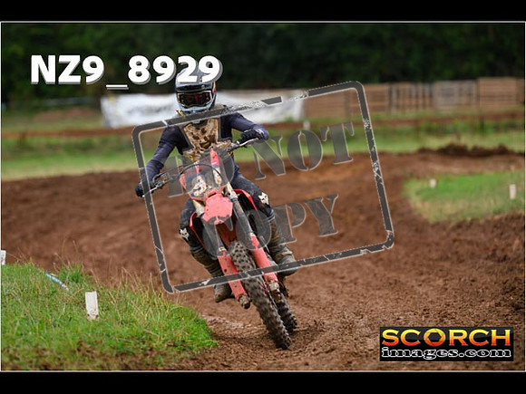 Experts-145