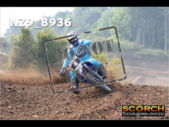 Experts-134