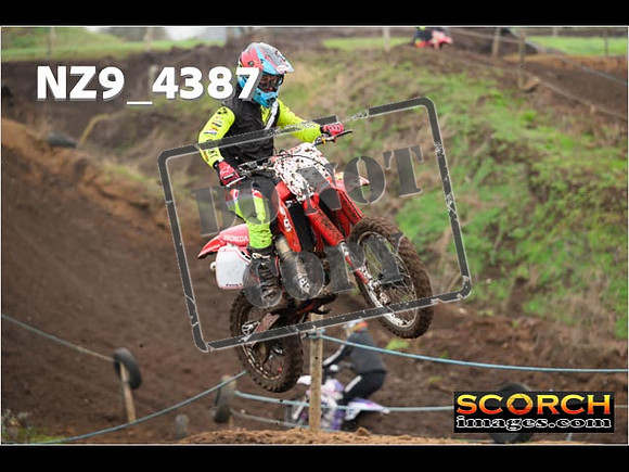 Experts-233