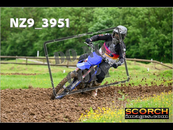 Experts-059