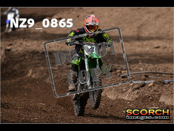 IntersGreen-395