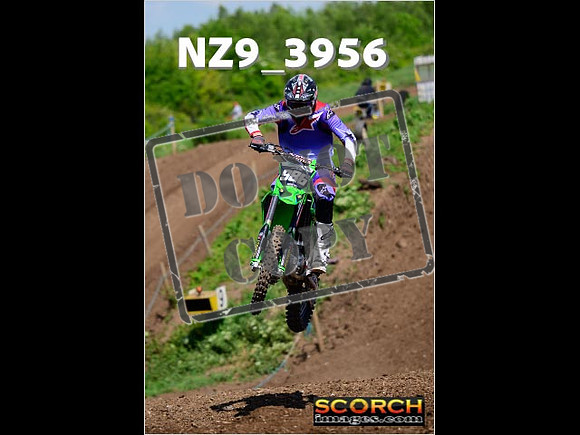 InterGreen-238