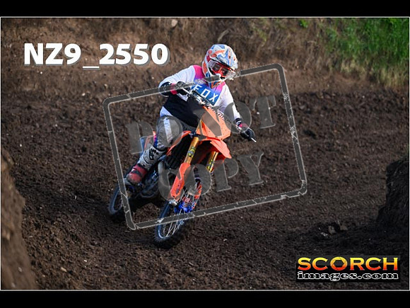 Experts-136