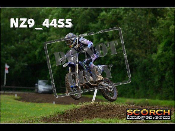 Experts-173