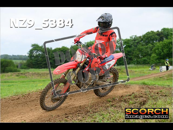 Experts-319
