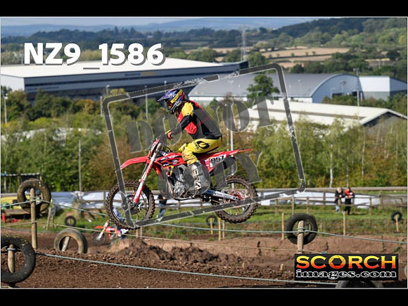 Experts-268