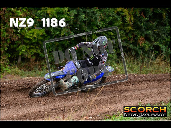 Experts-065