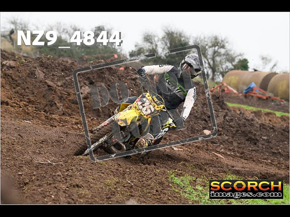 Experts-320