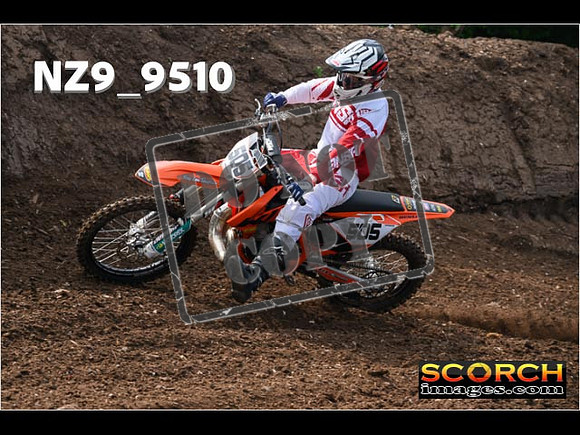 Experts-032